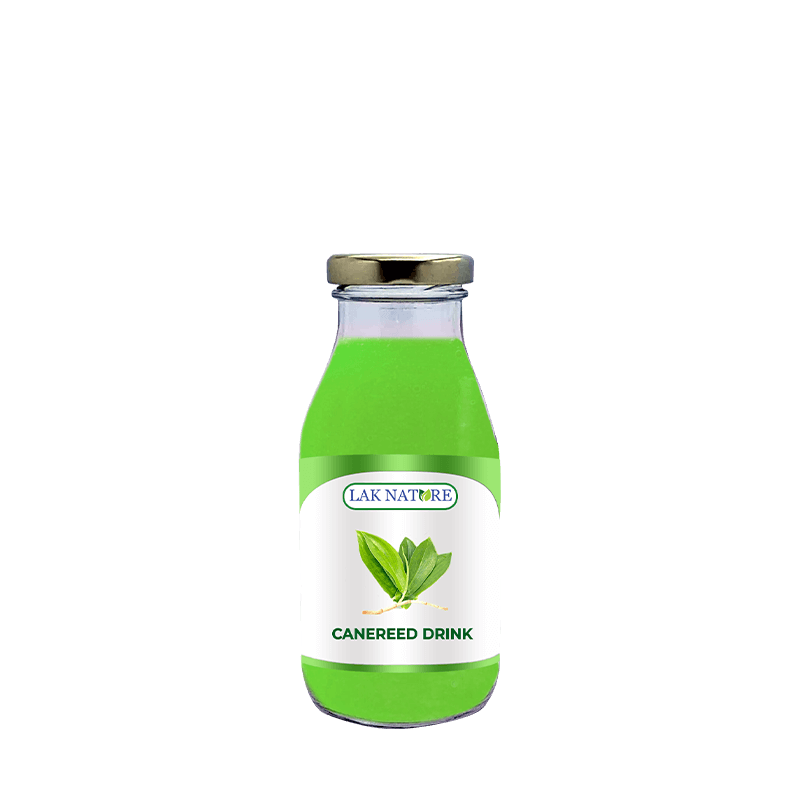 Canereed Drink