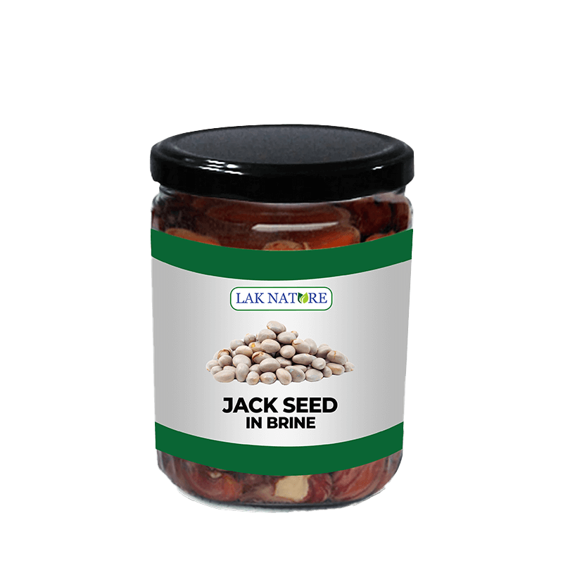 Jack Seed In Barine